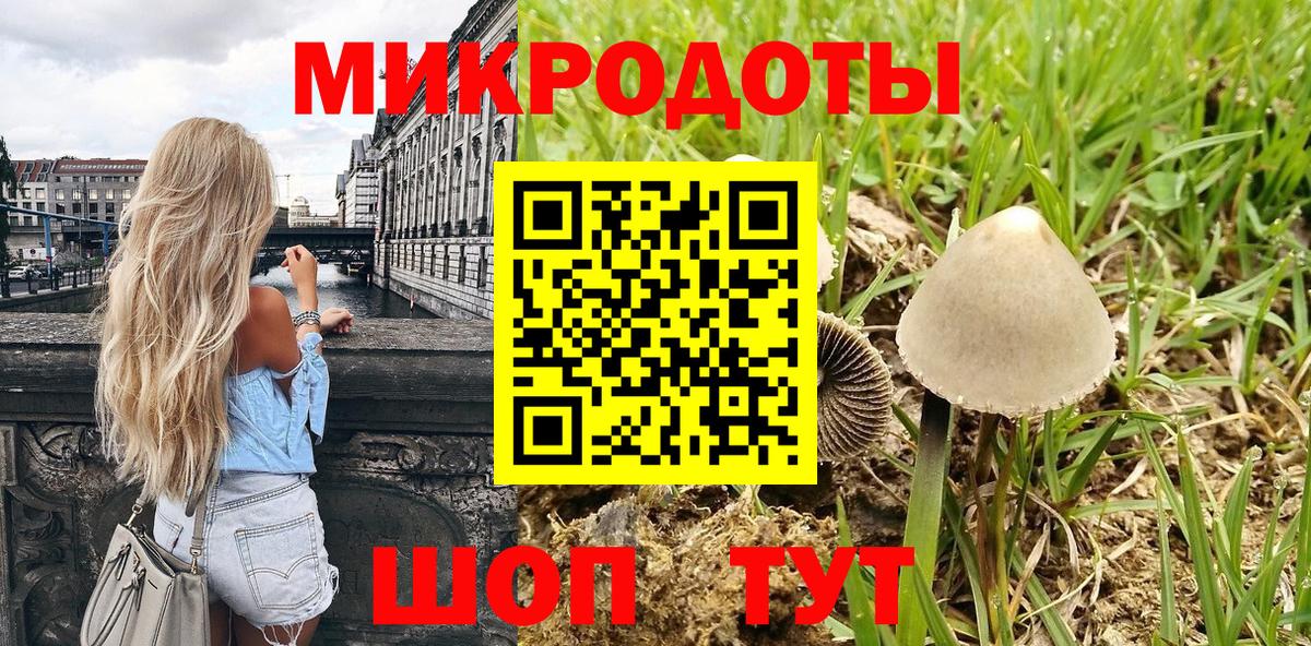 Черкесск  Псилоцибиновые грибы мухоморы  Галлюциногенные грибы Psilocybe  Вход с VPN 