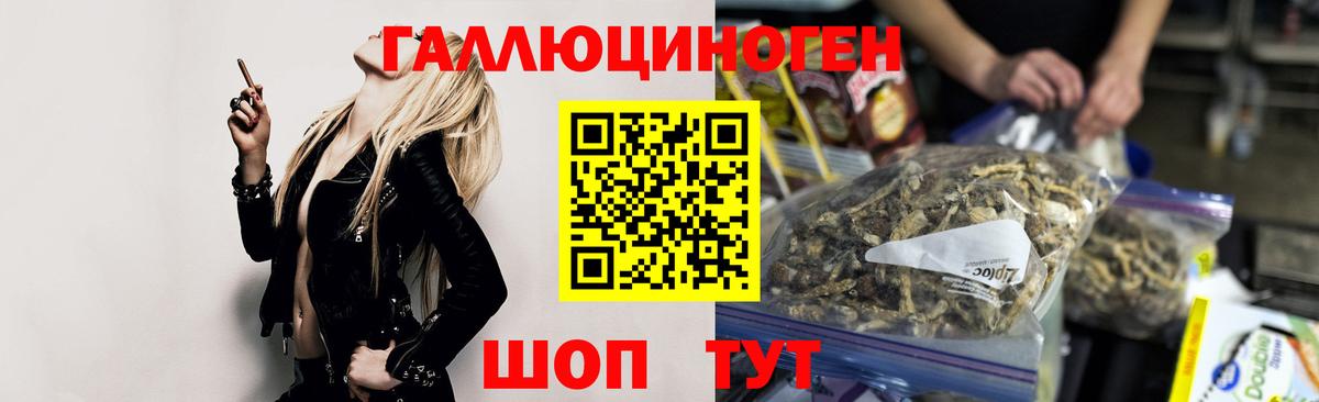 Галлюциногенные грибы Magic Shrooms Черкесск